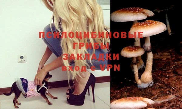 ПСИЛОЦИБИНОВЫЕ ГРИБЫ Аркадак