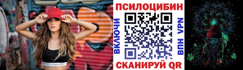 Псилоцибиновые грибы Cubensis  Купить  Миньяр 